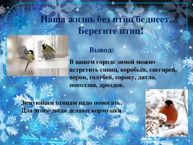 Наша жизнь без птиц беднеет…  Берегите птиц! Вывод: В нашем городе зимой можно встретить синиц, воробьёв, снегирей, ворон, голубей, сороку, дятла, поползня, дроздов. Зимующим птицам надо помогать. Для этого люди делают кормушки.