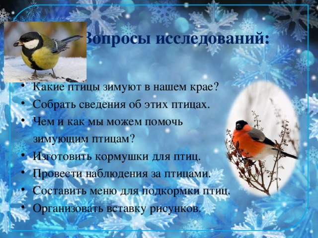 Вопросы исследований: Какие птицы зимуют в нашем крае? Собрать сведения об этих птицах. Чем и как мы можем помочь  зимующим птицам?