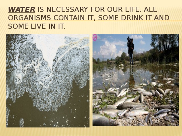 Water is necessary for our life. all organisms contain it, some drink it and some live in it.