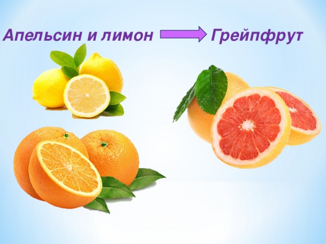 Апельсин и лимон Грейпфрут