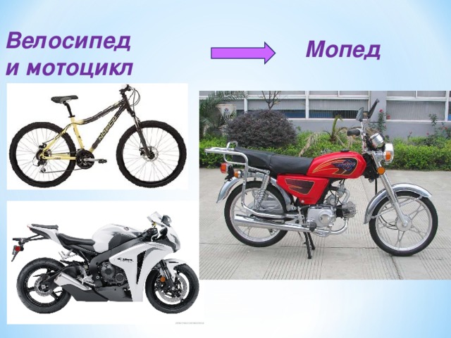 Велосипед и мотоцикл Мопед