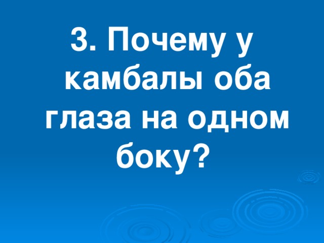 3. Почему у камбалы оба глаза на одном боку?