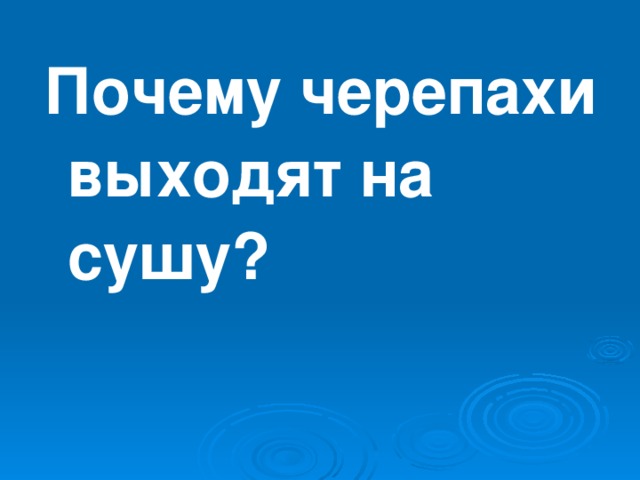 Почему черепахи выходят на сушу?