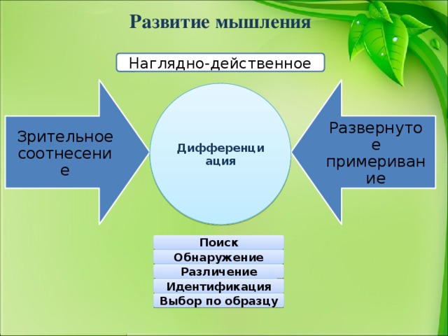 Зрительное соотнесение Развернутое примеривание Развитие мышления Наглядно-действенное Дифференциация Поиск Обнаружение Различение Идентификация Выбор по образцу