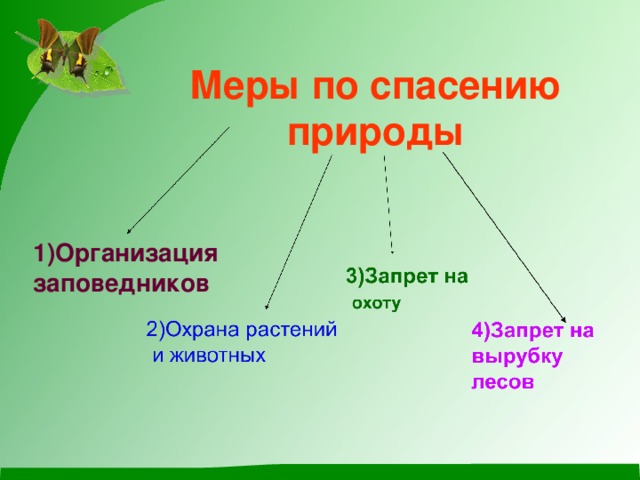 Составляющие охраны природы. Меры по сохранению природы. Меры по сохранению живой природы. Меры охраны природы. Меры по охране природы план.