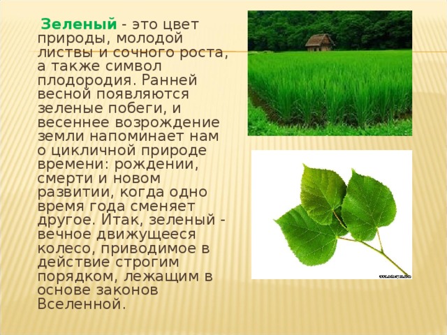 Зеленый - это цвет природы, молодой листвы и сочного роста, а также символ плодородия. Ранней весной появляются зеленые побеги, и весеннее возрождение земли напоминает нам о цикличной природе времени: рождении, смерти и новом развитии, когда одно время года сменяет другое. Итак, зеленый - вечное движущееся колесо, приводимое в действие строгим порядком, лежащим в основе законов Вселенной.