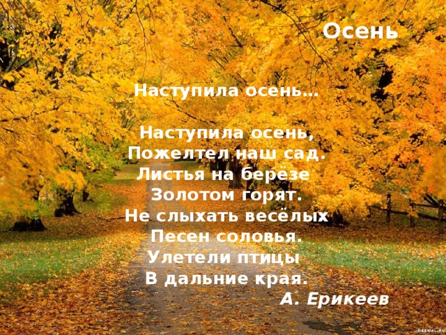 Осень Наступила осень…  Наступила осень,  Пожелтел наш сад.  Листья на берёзе   Золотом горят.  Не слыхать весёлых  Песен соловья.  Улетели птицы   В дальние края. А. Ерикеев