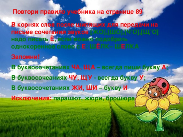 Сочетание звуков корень