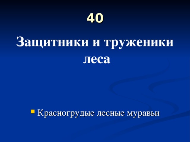 40 Защитники и труженики леса