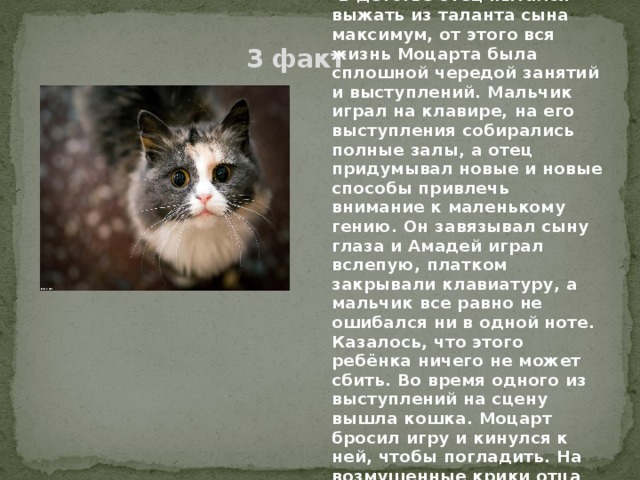 В детстве отец пытался выжать из таланта сына максимум, от этого вся жизнь Моцарта была сплошной чередой занятий и выступлений. Мальчик играл на клавире, на его выступления собирались полные залы, а отец придумывал новые и новые способы привлечь внимание к маленькому гению. Он завязывал сыну глаза и Амадей играл вслепую, платком закрывали клавиатуру, а мальчик все равно не ошибался ни в одной ноте. Казалось, что этого ребёнка ничего не может сбить. Во время одного из выступлений на сцену вышла кошка. Моцарт бросил игру и кинулся к ней, чтобы погладить. На возмущенные крики отца он ответил: - Клавесин никуда не денется, а кошка уйдёт 3 факт