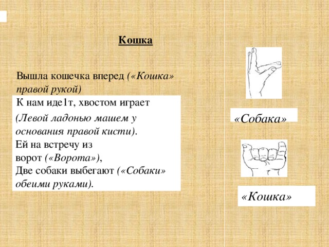 Кошка Вышла кошечка вперед  («Кошка» правой рукой)  К нам иде1т, хвостом играет    (Левой ладонью машем   у основания правой кисти) .  Ей на встречу из ворот  («Ворота») ,  Две собаки выбегают  («Собаки» обеими руками). «Собака» «Кошка» «Собака»