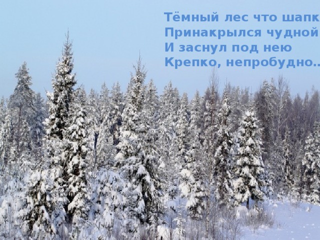 Тёмный лес что шапкой Принакрылся чудной И заснул под нею Крепко, непробудно…