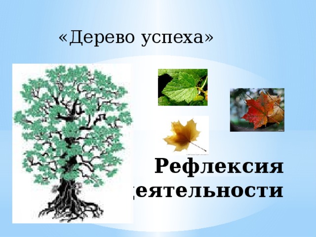 «Дерево успеха»