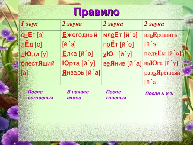 Правило   1 звук 2 звука с н Е г [э] л Ё д [о] л Ю ди [у] б лест Я щий [а] 2 звука Е жегодный [й΄э] Ё лка [й΄о] Ю рта [й΄у] Я нварь [й΄а] 2 звука мл е Е т [й΄э] п о Ё т [й΄о] у Ю т [й΄у] в е Я ние [й΄а] вз ъ Е рошить [й΄э] под ъ Ё м [й΄о] в ь Ю га [й΄у] раз ъ Я рённый [й΄а] После согласных В начале слова После гласных После ь и ъ