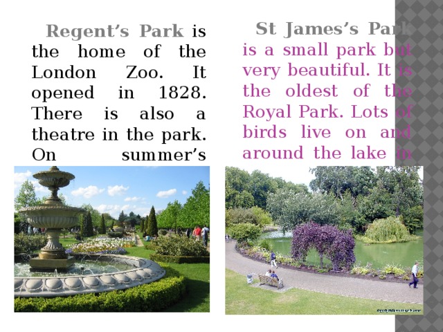 Regent’s Park  is the home of the London Zoo. It opened in 1828. There is also a theatre in the park. On summer’s evenings you can watch plays by Shakespeare.  St James’s Park  is a small park but very beautiful. It is the oldest of the Royal Park. Lots of birds live on and around the lake in the centre of the park.