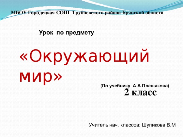 МБОУ Городецкая СОШ Трубчевского района Брянской области  «Окружающий мир»  2 класс