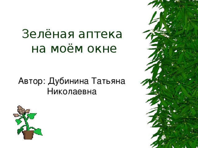 Зелёная аптека  на моём окне Автор: Дубинина Татьяна Николаевна