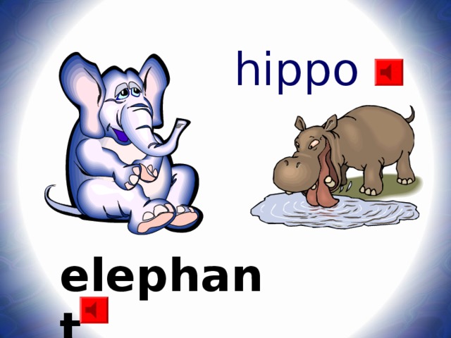 hippo elephant