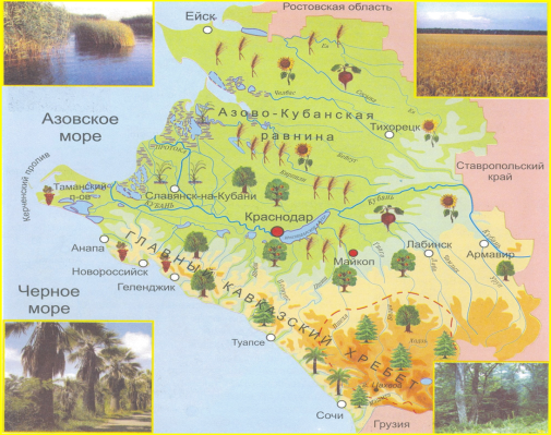 Карта растительности Краснодарского края. Растительный мир Кубани карта. Карта лесов Краснодарского края. Карта схема растительности Краснодарского края.