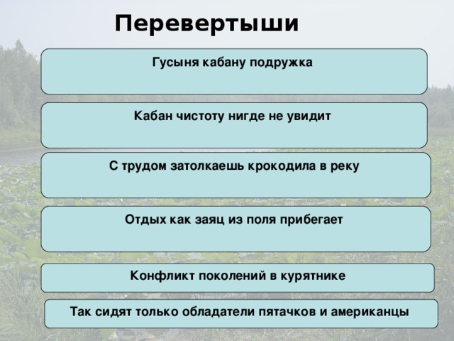 Перевертыши Гусыня кабану подружка Кабан чистоту нигде не увидит С трудом затолкаешь крокодила в реку Отдых как заяц из поля прибегает Конфликт поколений в курятнике Так сидят только обладатели пятачков и американцы