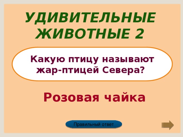 Удивительные животные 2 Какую птицу называют жар-птицей Севера? Розовая чайка Правильный ответ