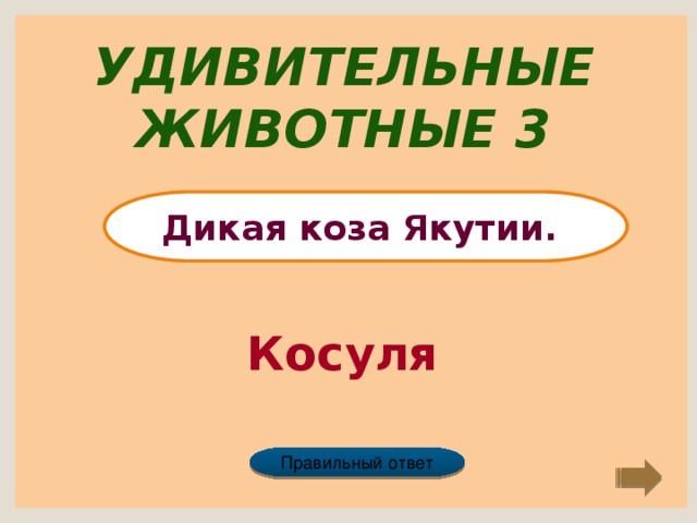 Удивительные животные 3 Дикая коза Якутии. Косуля Правильный ответ