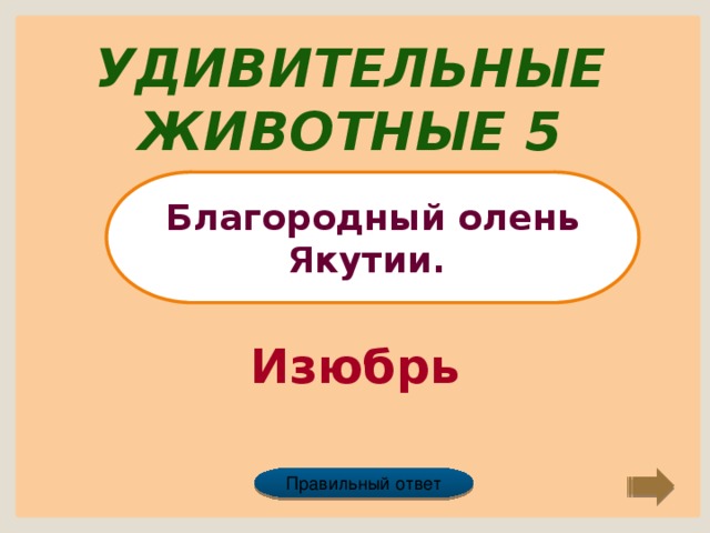 Удивительные животные 5 Благородный олень Якутии. Изюбрь Правильный ответ