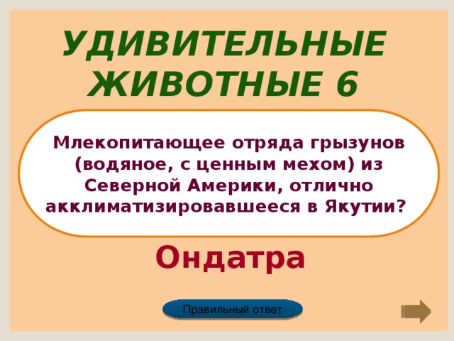 Удивительные животные 6 Млекопитающее отряда грызунов (водяное, с ценным мехом) из Северной Америки, отлично акклиматизировавшееся в Якутии? Ондатра Правильный ответ