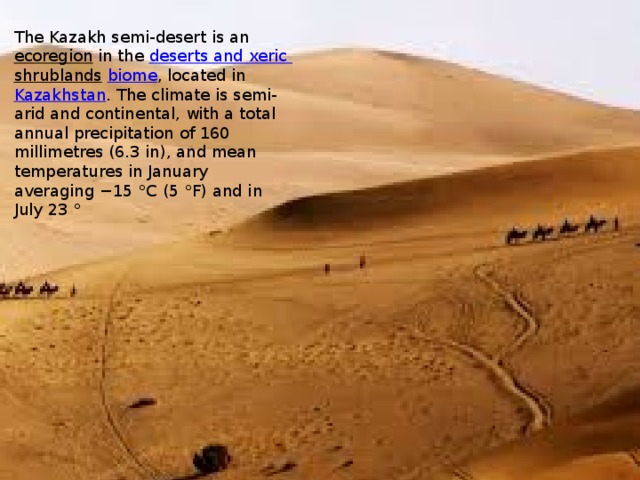 The Kazakh semi-desert is an  ecoregion  in the  deserts and xeric shrublands   biome , located in  Kazakhstan . The climate is semi-arid and continental, with a total annual precipitation of 160 millimetres (6.3 in), and mean temperatures in January averaging −15 °C (5 °F) and in July 23 ° C (73 °F).