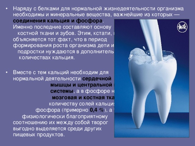 Наряду с белками для нормальной жизнедеятельности организма необходимы и минеральные вещества, важнейшие из которых — соединения кальция и фосфора .  Именно последние составляют основу  костной ткани и зубов. Этим, кстати, и  объясняется тот факт, что в период  формирования роста организма дети и  подростки нуждаются в дополнительных  количествах кальция.  Вместе с тем кальций необходим для  нормальной деятельности сердечной  мышцы и центральной нервной  системы , а в фосфоре нуждаются  мозговая и костная ткани . По  количеству солей кальция и  фосфора ( примерно 0,4 % ), а также к физиологически благоприятному соотношению их между собой творог выгодно выделяется среди других пищевых продуктов.