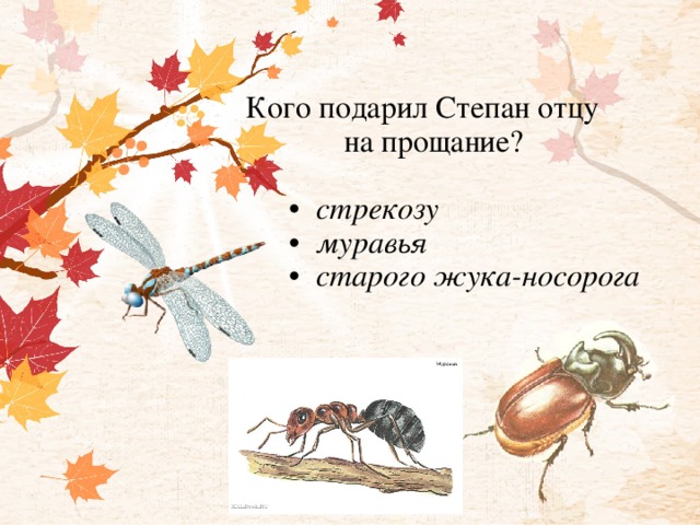 Кого подарил Степан отцу  на прощание?   •  стрекозу  •  муравья  • старого жука-носорога