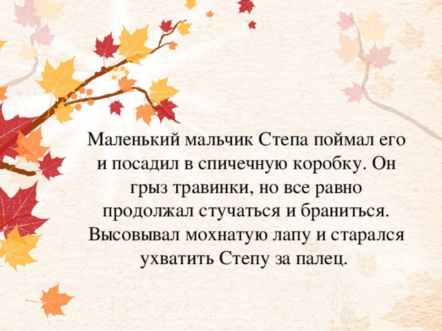 Маленький мальчик Степа поймал его и посадил в спичечную коробку. Он грыз травинки, но все равно продолжал стучаться и браниться. Высовывал мохнатую лапу и старался ухватить Степу за палец.