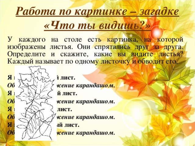 Работа по картинке – загадке «Что ты видишь?» У каждого на столе есть картинка, на которой изображены листья. Они спрятались друг за друга. Определите и скажите, какие вы видите листья? Каждый называет по одному листочку и обводит его.  Я вижу кленовый лист. Обводит изображение карандашом. Я вижу березовый лист. Обводит изображение карандашом. Я вижу дубовый лист. Обводит изображение карандашом. Я вижу рябиновый лист. Обводит изображение карандашом.