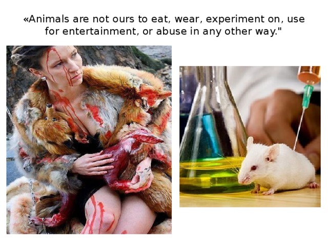 «Animals are not ours to eat, wear, experiment on, use for entertainment, or abuse in any other way.