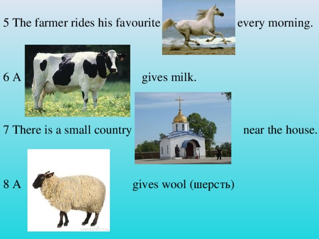 5 The farmer rides his favourite every morning. 6 A gives milk. 7 There is a small country near the house. 8 A gives wool (шерсть)