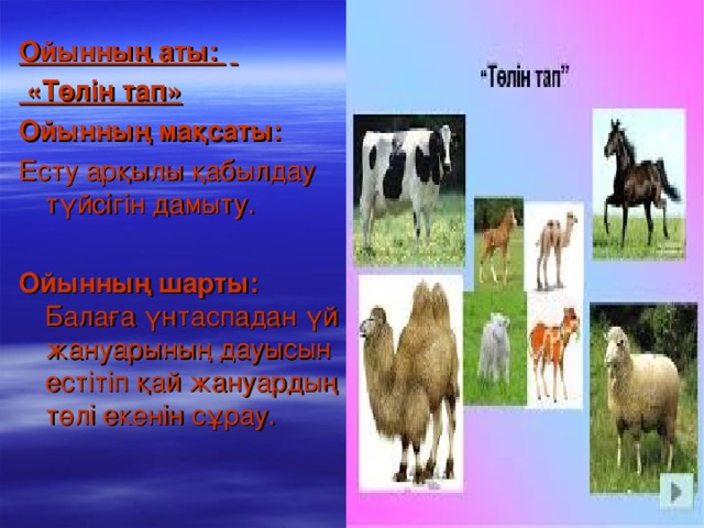 Ойынның аты:    « Төлін тап » Ойынның мақсаты: Есту арқылы қабылдау түйсігін дамыту.  Ойынның шарты: Балаға үнтаспадан үй жануарының дауысын естітіп қай жануардың төлі екенін сұрау.