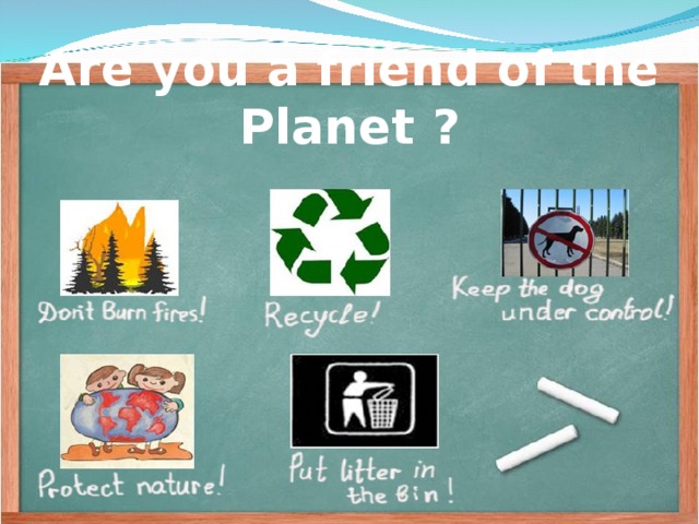 Are you a friend of the Planet ? Keep the dog under control! Don`t burn fires!  Recycle! Protect nature !  Put litter in the bin!