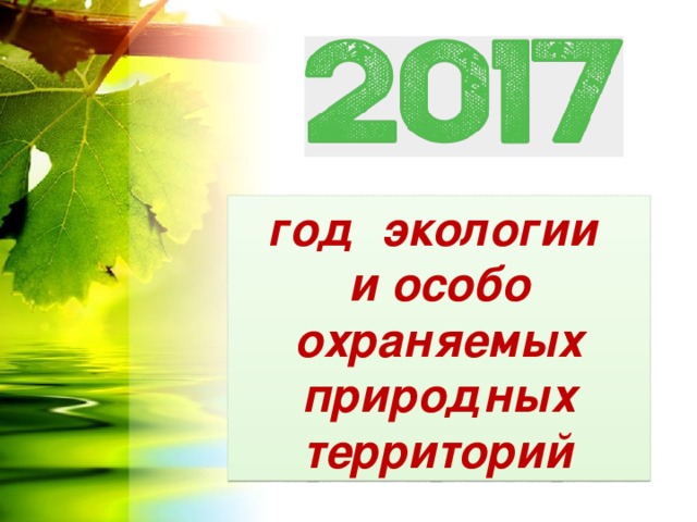 год экологии и особо охраняемых природных территорий