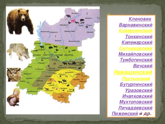 Заказники Кленовик      Варнавинский     Ковернинский     Тонкинский     Килемарский     Ситниковский     Михайловский     Тумботинский     Вачский     Навашинский     Пустынский       Бутурлинский     Уразовский     Ичалковский     Мухтоловский     Личадеевский     Пижемский  и др. .