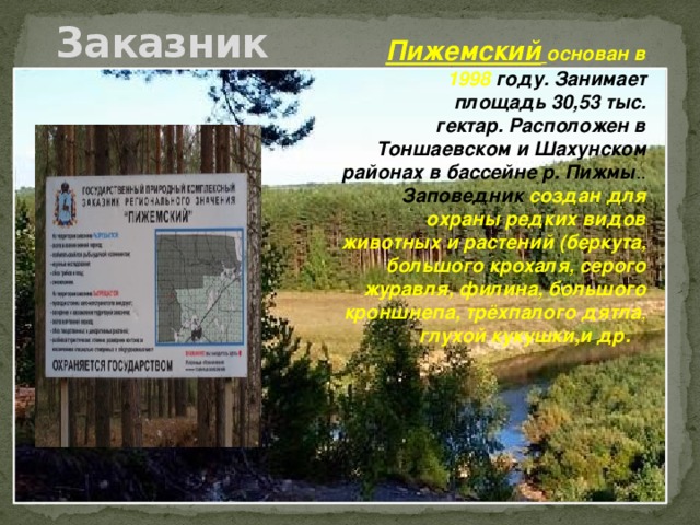 Заказник Пижемский   основан в 1998 году. Занимает площадь 30,53 тыс. гектар. Расположен в Тоншаевском и Шахунском районах в бассейне р. Пижмы .. Заповедник создан для охраны редких видов животных и растений (беркута, большого крохаля, серого журавля, филина, большого кроншнепа, трёхпалого дятла ,  глухой кукушки,и др. 