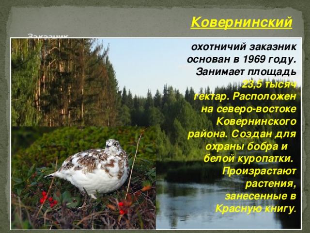 Ковернинский       Заказник    охотничий заказник основан в 1969 году. Занимает площадь 23,5 тысяч гектар. Расположен на северо-востоке Ковернинского района. Создан для охраны бобра и белой куропатки.  Произрастают растения, занесенные в Красную книгу .