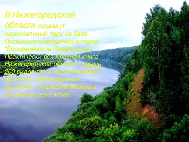 В  Нижегородской области создадут национальный парк на базе Пустынского заказника и парка 