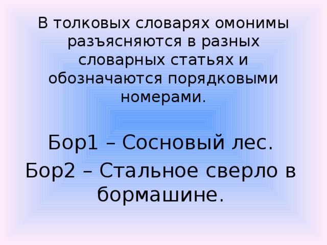 Значение словаря омонимов