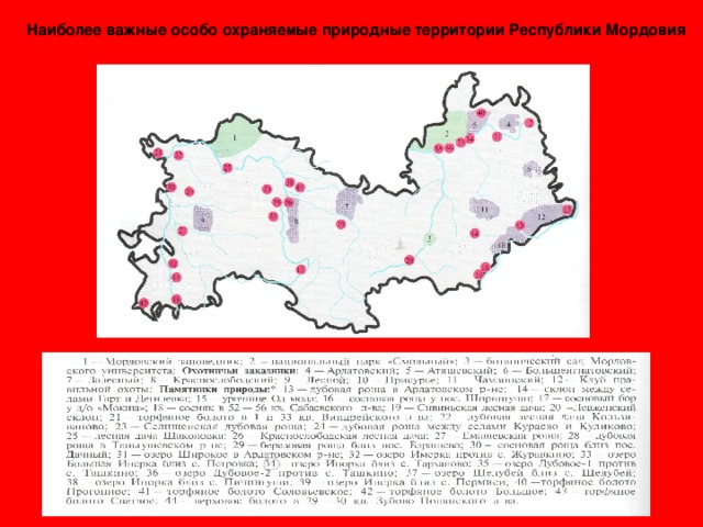 Наиболее важные особо охраняемые природные территории Республики Мордовия