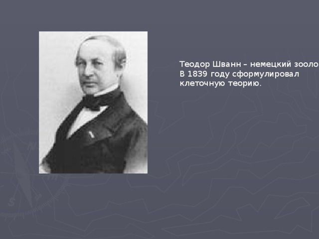 Теодор Шванн – немецкий зоолог В 1839 году сформулировал клеточную теорию.