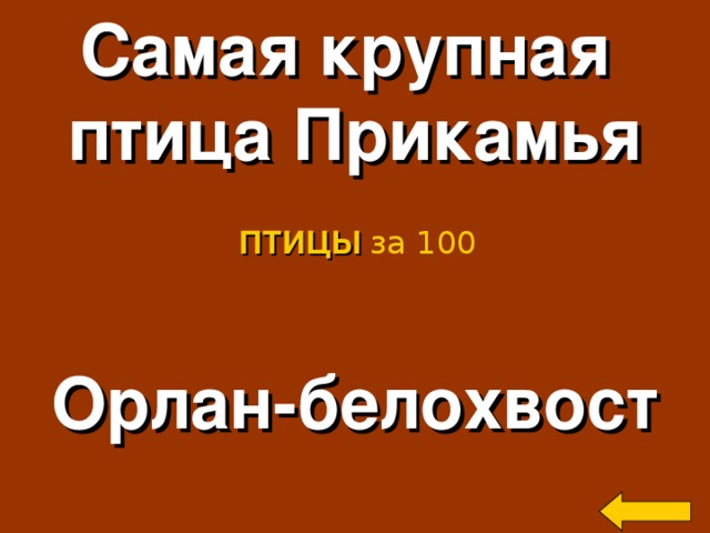 Самая крупная птица Прикамья ПТИЦЫ за 100 Орлан-белохвост Welcome to Power Jeopardy   © Don Link, Indian Creek School, 2004 You can easily customize this template to create your own Jeopardy game. Simply follow the step-by-step instructions that appear on Slides 1-3. 2