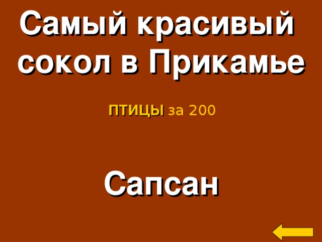 Самый красивый сокол в Прикамье ПТИЦЫ за 200 Сапсан Welcome to Power Jeopardy   © Don Link, Indian Creek School, 2004 You can easily customize this template to create your own Jeopardy game. Simply follow the step-by-step instructions that appear on Slides 1-3. 2
