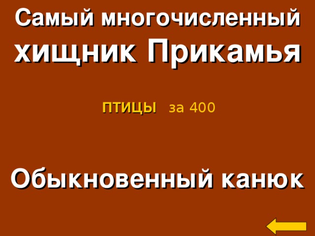 Самый многочисленный хищник Прикамья ПТИЦЫ  за 400 Обыкновенный канюк Welcome to Power Jeopardy   © Don Link, Indian Creek School, 2004 You can easily customize this template to create your own Jeopardy game. Simply follow the step-by-step instructions that appear on Slides 1-3. 2