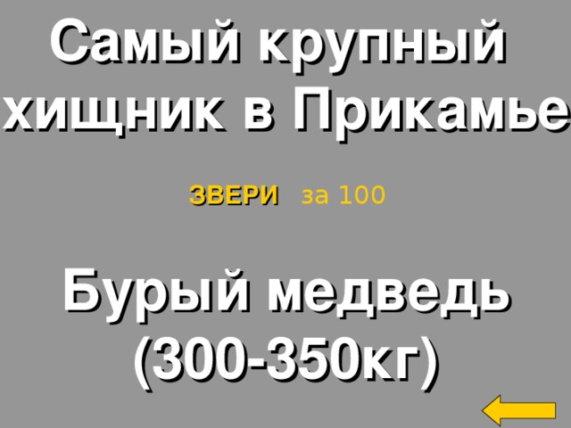 Самый крупный хищник в Прикамье ЗВЕРИ  за 100 Бурый медведь (300-350кг) Welcome to Power Jeopardy   © Don Link, Indian Creek School, 2004 You can easily customize this template to create your own Jeopardy game. Simply follow the step-by-step instructions that appear on Slides 1-3. 2