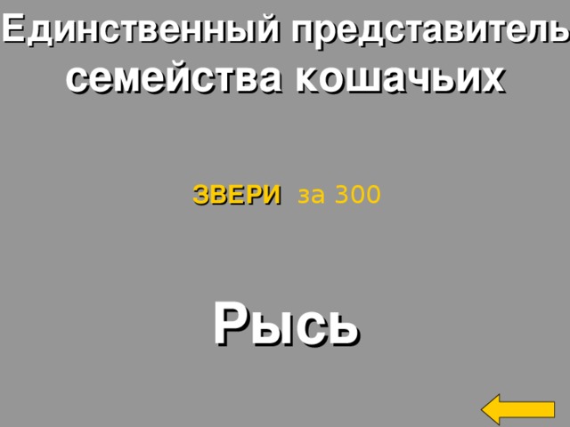 Единственный представитель семейства кошачьих ЗВЕРИ  за 300 Рысь Welcome to Power Jeopardy   © Don Link, Indian Creek School, 2004 You can easily customize this template to create your own Jeopardy game. Simply follow the step-by-step instructions that appear on Slides 1-3. 2